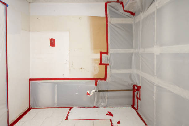 Mold Documentation for Insurance Claims