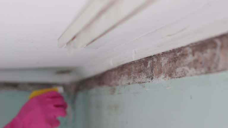 Asbestos and Lead Testing During Mold Inspection in New Burlington, OH